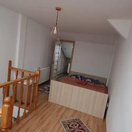 Fireplace Penthouse In Apartment