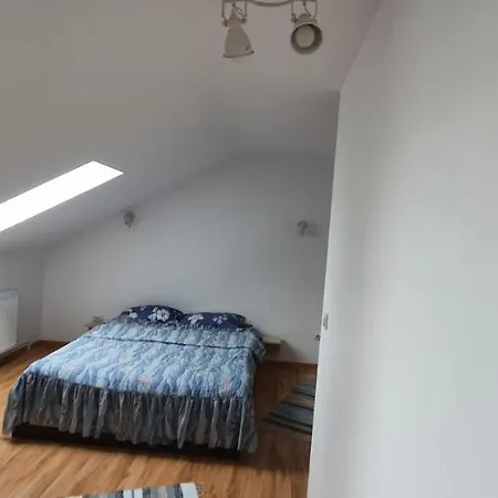 Fireplace Penthouse In * Brasov