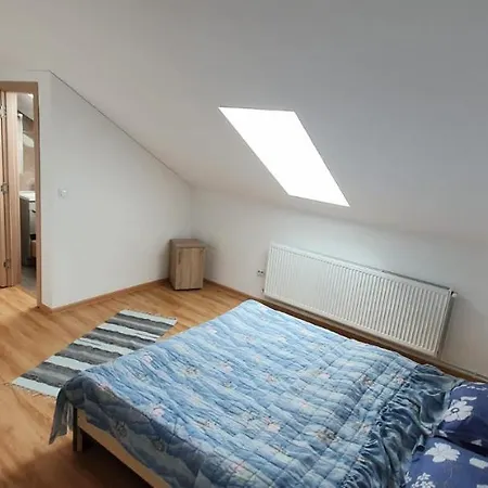 Apartment Fireplace Penthouse In Brasov