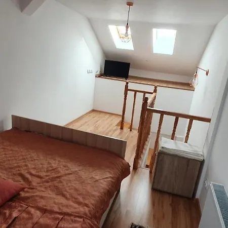 Fireplace Penthouse In Apartment *